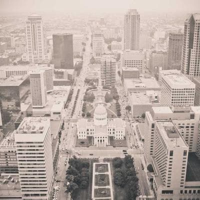 Lüks Taze Sebze Ürünü 13