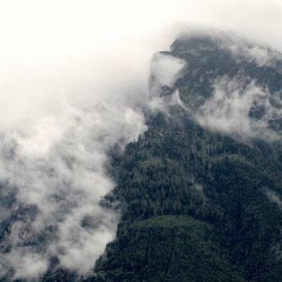 Yerli Taze Sebze Ürünü 16