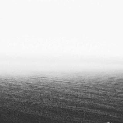 Sertifikalı Taze Sebze Ürünü 7