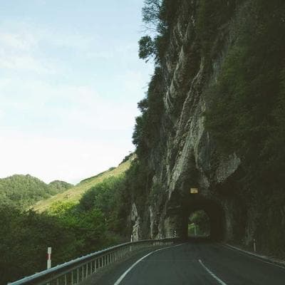 Kaliteli Taze Sebze Ürünü 9