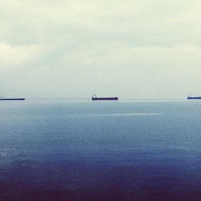 Yeni Sezon Tarım ve Hayvancılık Ürünü 10