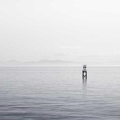 Kaliteli Tarım ve Hayvancılık Ürünü 17