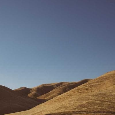 Yerli Tarım ve Hayvancılık Ürünü 7