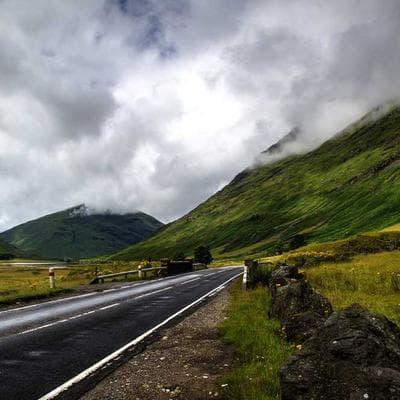 Özel Üretim Tarım ve Hayvancılık Ürünü 13