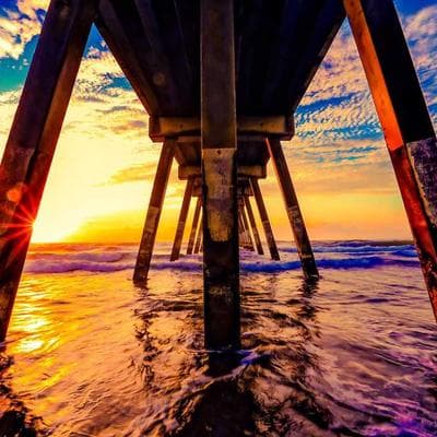 Organik Tarım ve Hayvancılık Ürünü 17