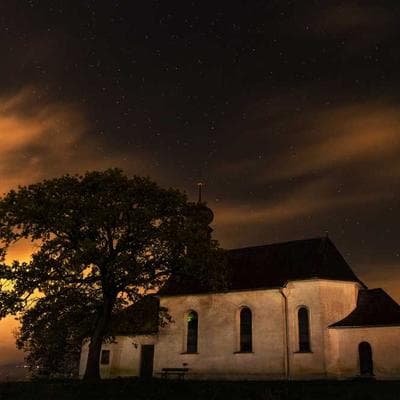 Yeni Sezon Tarım ve Hayvancılık Ürünü 9