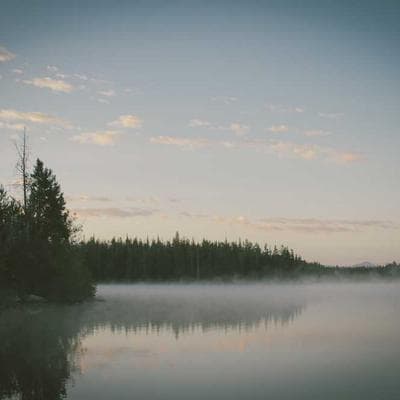 Özel Üretim Tarım ve Hayvancılık Ürünü 10