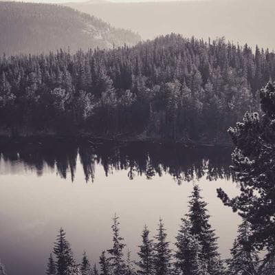 Sertifikalı Tarım ve Hayvancılık Ürünü 4