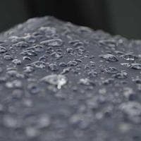 Tarım ve Hayvancılık Firması 12