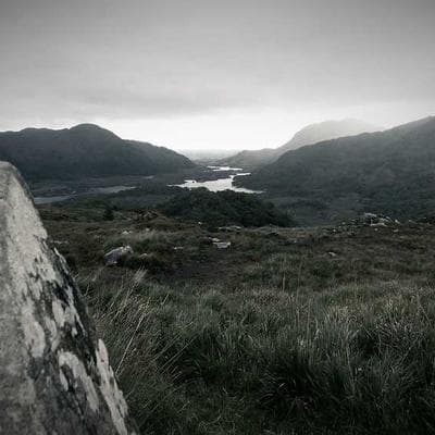 Yerli Tarım ve Hayvancılık Ürünü 3