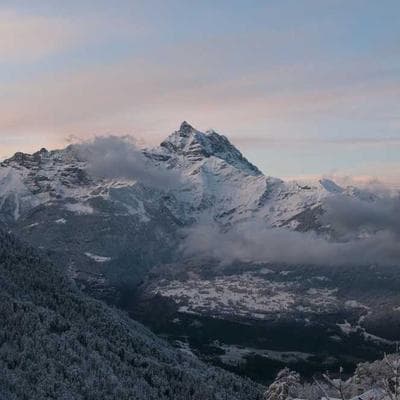 Organik Tarım ve Hayvancılık Ürünü 10