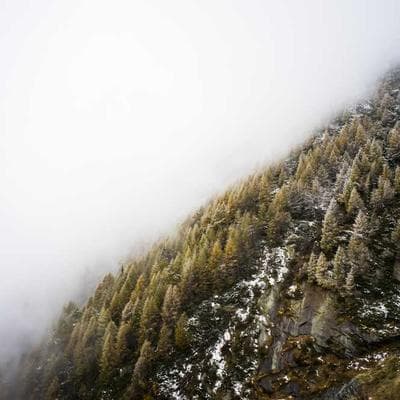 Yerli Tarım ve Hayvancılık Ürünü 19