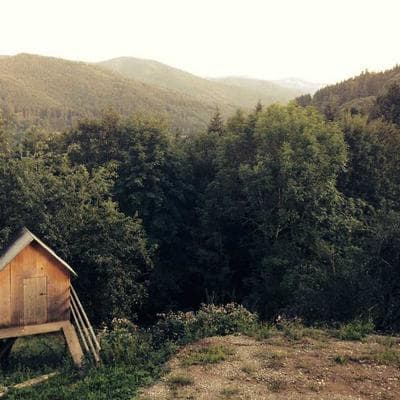 Özel Üretim Tarım ve Hayvancılık Ürünü 3