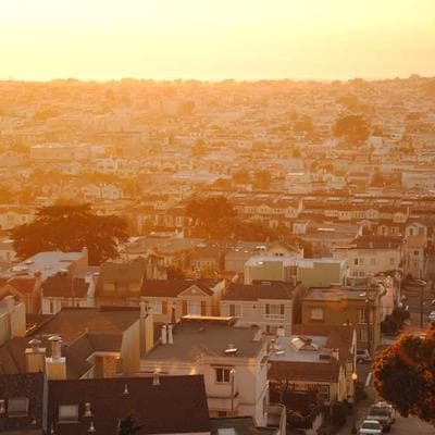 Lüks Tarım ve Hayvancılık Ürünü 6