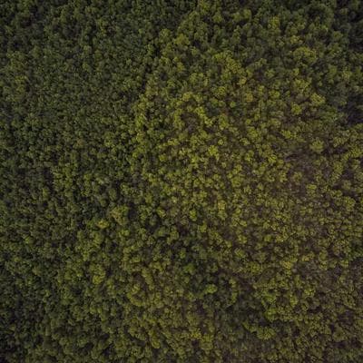 Özel Üretim Tarım ve Hayvancılık Ürünü 8