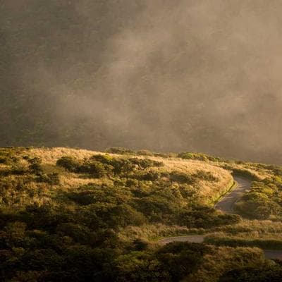 Kaliteli Tarım ve Hayvancılık Ürünü 15