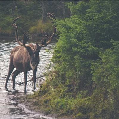 Yeni Sezon Tarım ve Hayvancılık Ürünü 17