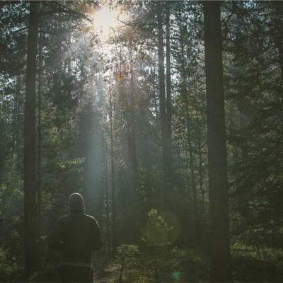 Doğal Tarım ve Hayvancılık Ürünü 7