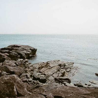 Doğal Tarım ve Hayvancılık Ürünü 8