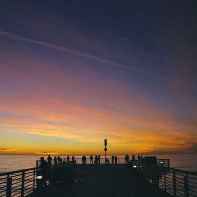 Lüks Tarım ve Hayvancılık Ürünü 9