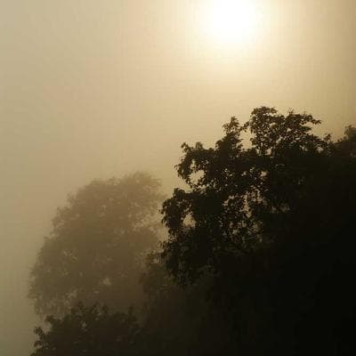 İthal Tarım ve Hayvancılık Ürünü 10