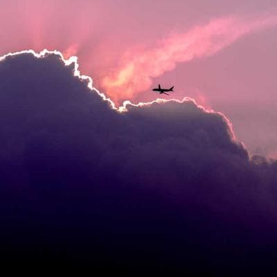 Organik Tarım ve Hayvancılık Ürünü 11