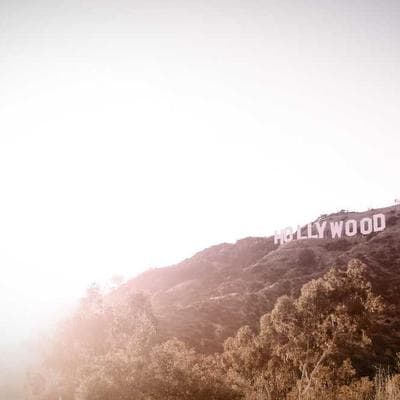 Sertifikalı Tarım ve Hayvancılık Ürünü 15