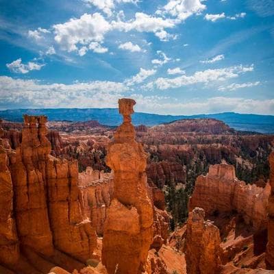 İthal Tarım ve Hayvancılık Ürünü 17