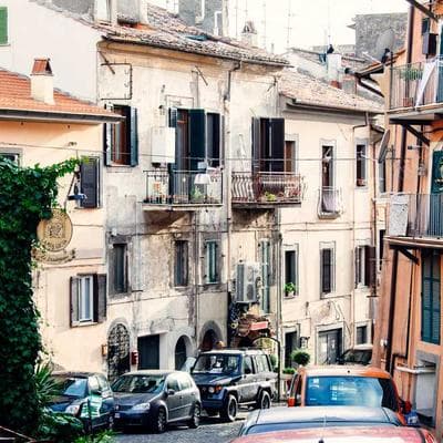 Yerli Tarım ve Hayvancılık Ürünü 20