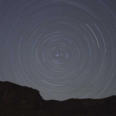 İthal Tarım ve Hayvancılık Ürünü 11