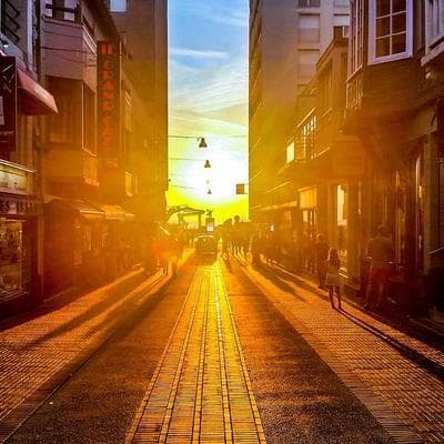 Ekonomik Tarım ve Hayvancılık Ürünü 13