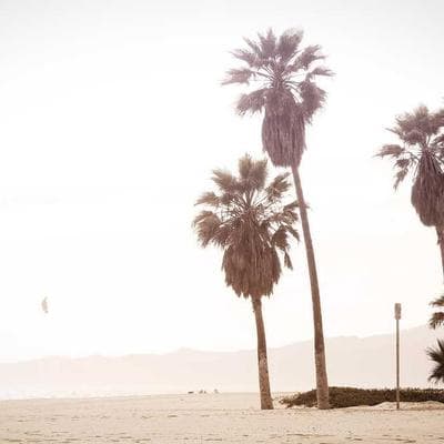 Kaliteli Tarım ve Hayvancılık Ürünü 6