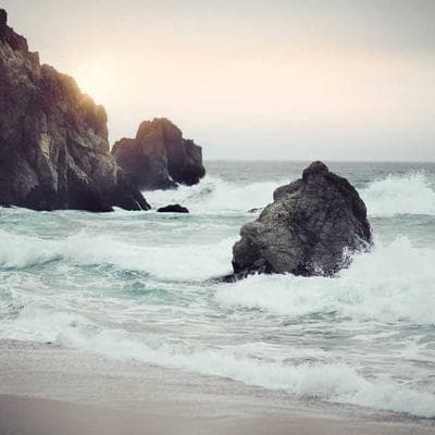 İthal Tarım ve Hayvancılık Ürünü 7