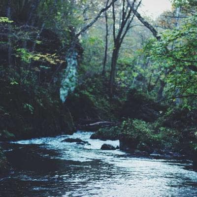 Kaliteli Tarım ve Hayvancılık Ürünü 10