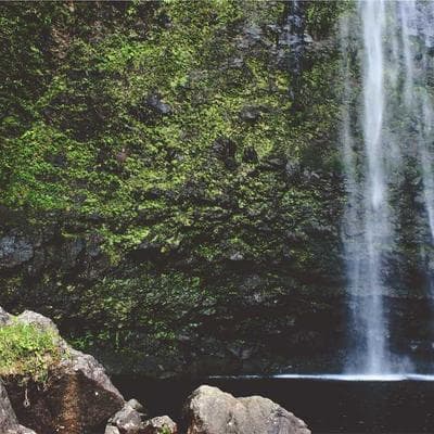 Kaliteli Tarım ve Hayvancılık Ürünü 2