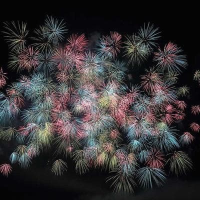 Yerli Tarım ve Hayvancılık Ürünü 8