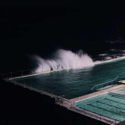 Yeni Sezon Tarım ve Hayvancılık Ürünü 10