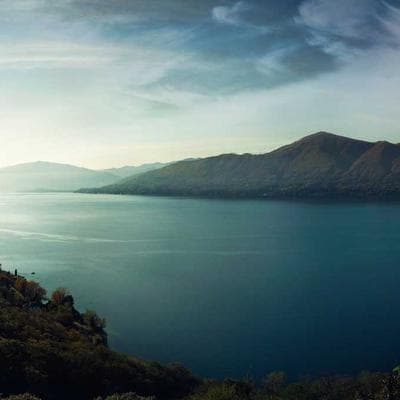 Organik Tarım ve Hayvancılık Ürünü 11