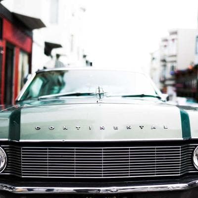 Ekonomik Tarım ve Hayvancılık Ürünü 12