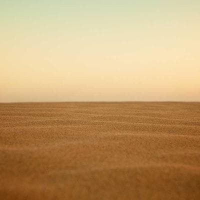 Ekonomik Tarım ve Hayvancılık Ürünü 15