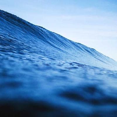 Sertifikalı Tarım ve Hayvancılık Ürünü 20