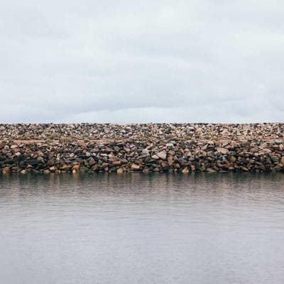 Organik Tarım ve Hayvancılık Ürünü 12