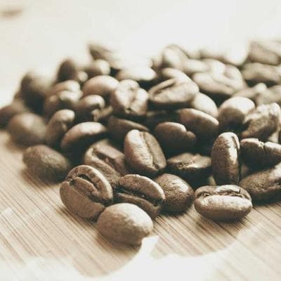 Yeni Sezon Tarım ve Hayvancılık Ürünü 7