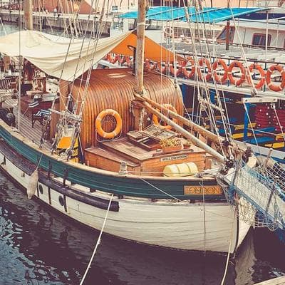 Kaliteli Tarım ve Hayvancılık Ürünü 11