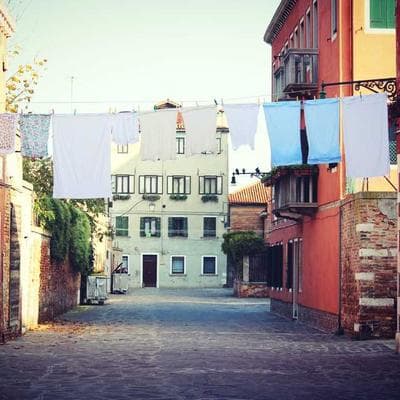 Lüks Tarım ve Hayvancılık Ürünü 11