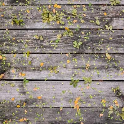 Doğal Tarım ve Hayvancılık Ürünü 5