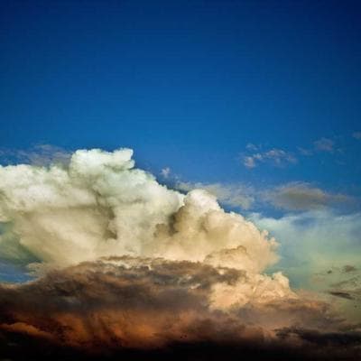 Yerli Tarım ve Hayvancılık Ürünü 5