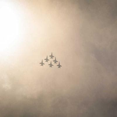 Yerli Tarım ve Hayvancılık Ürünü 15