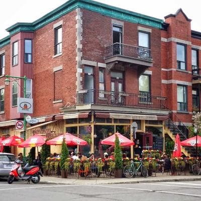 Lüks Tarım ve Hayvancılık Ürünü 17