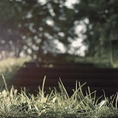 İthal Tarım ve Hayvancılık Ürünü 19